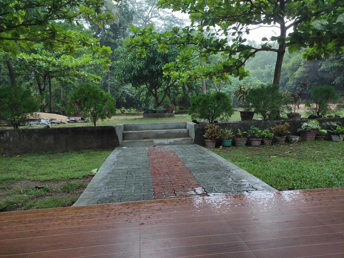 מלון פולונרואה Deer Garden Guest מראה חיצוני תמונה
