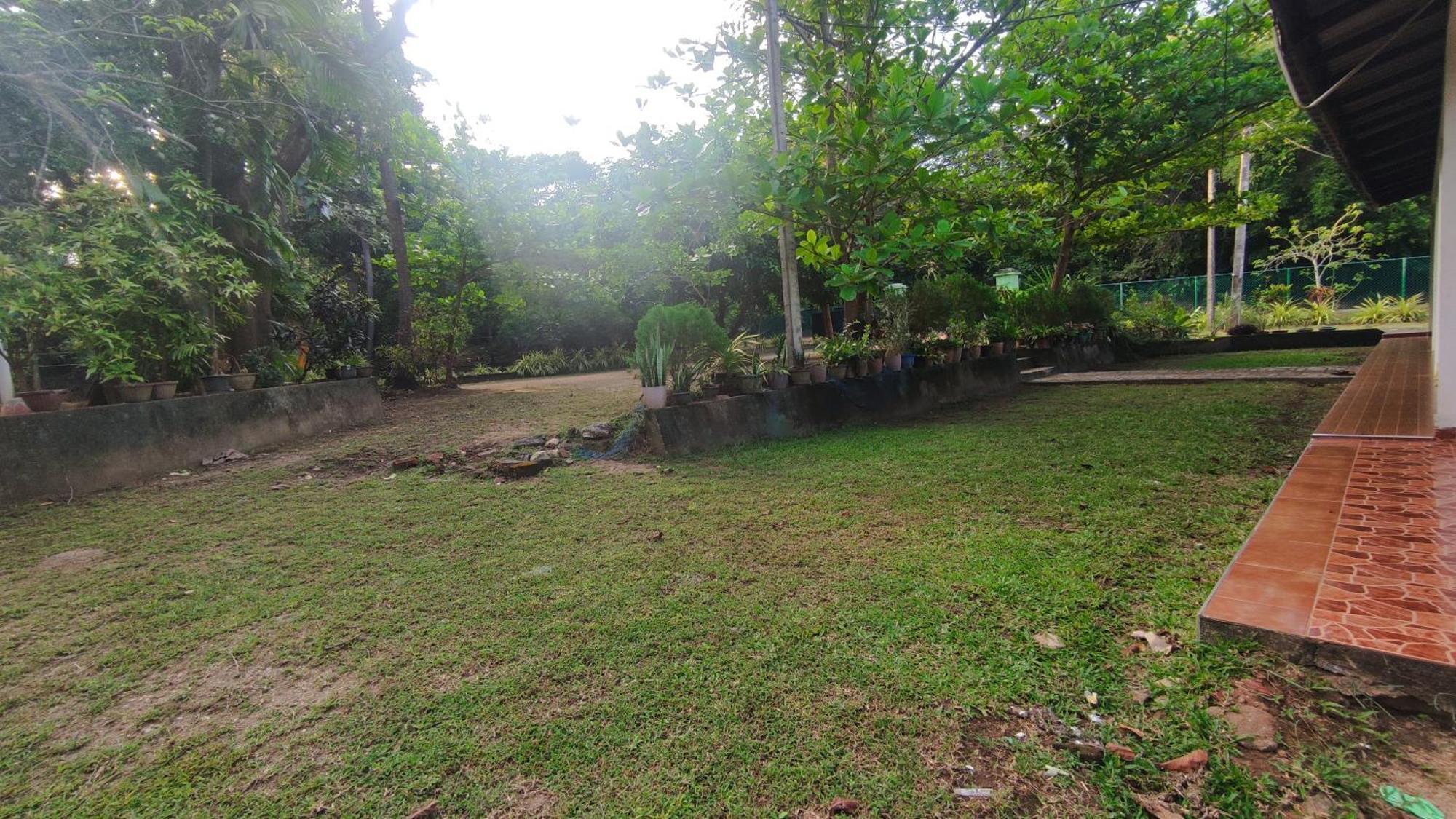מלון פולונרואה Deer Garden Guest מראה חיצוני תמונה